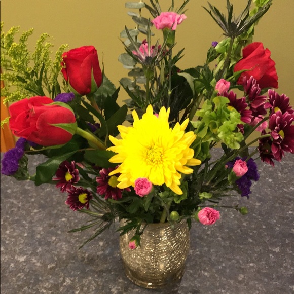 Meet your Posher, Ruby - Picture 1 of 1